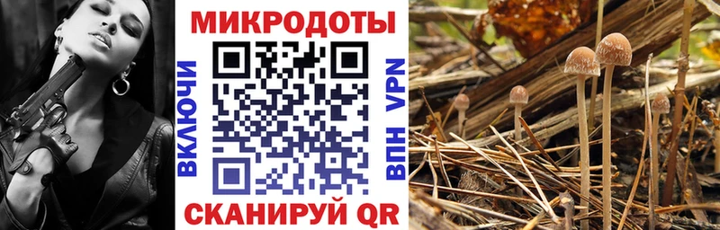 Галлюциногенные грибы ЛСД  мориарти как зайти  Ирбит  купить  