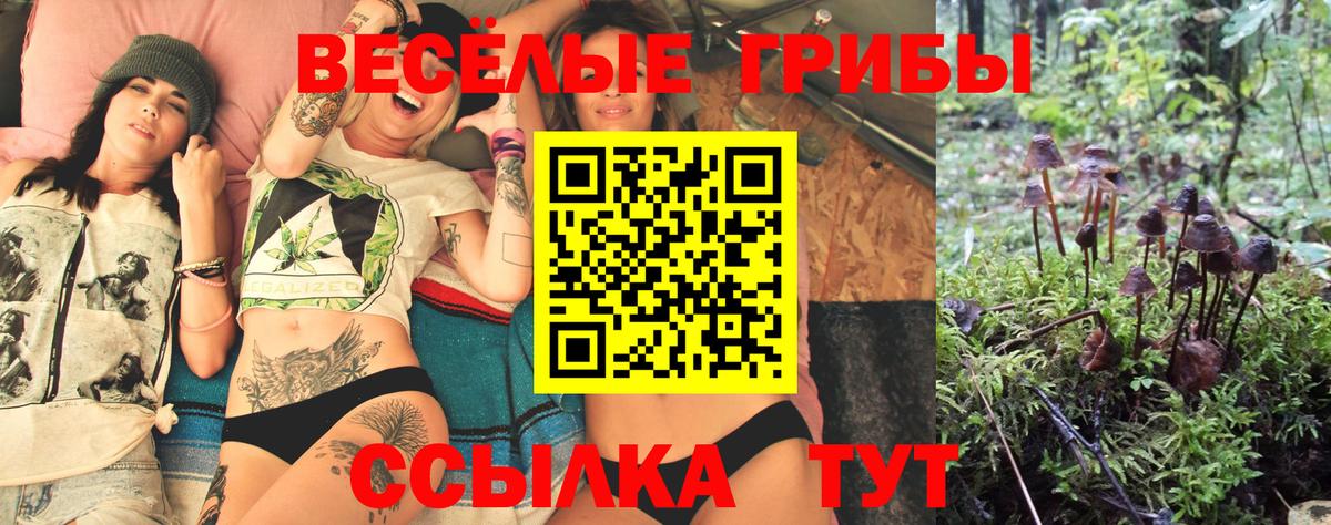 закладка  Вход с VPN  Ирбит  Псилоцибиновые грибы прущие грибы 