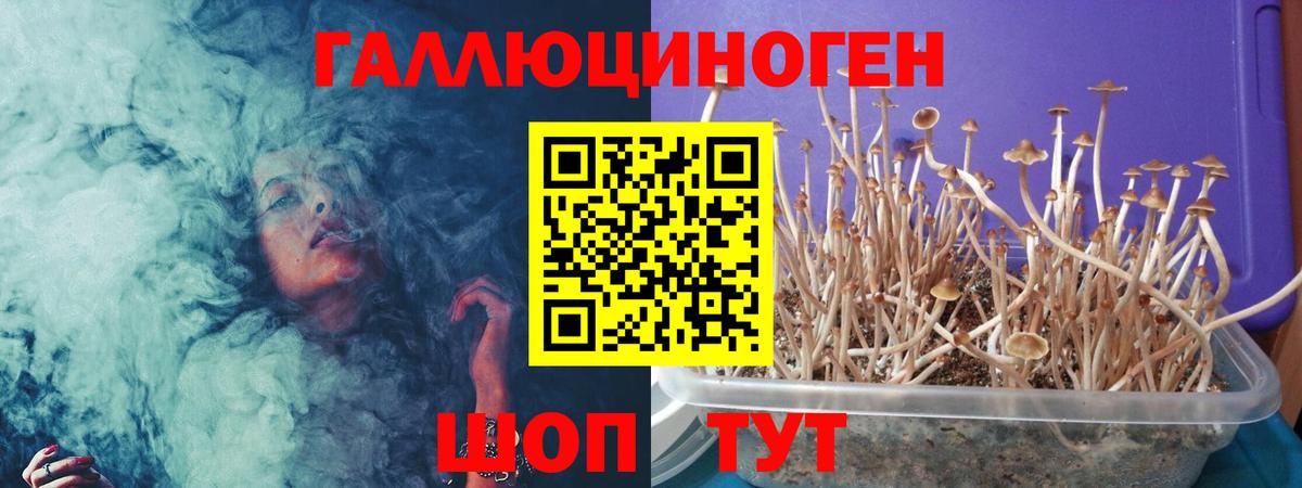 Псилоцибиновые грибы Magic Shrooms Ирбит